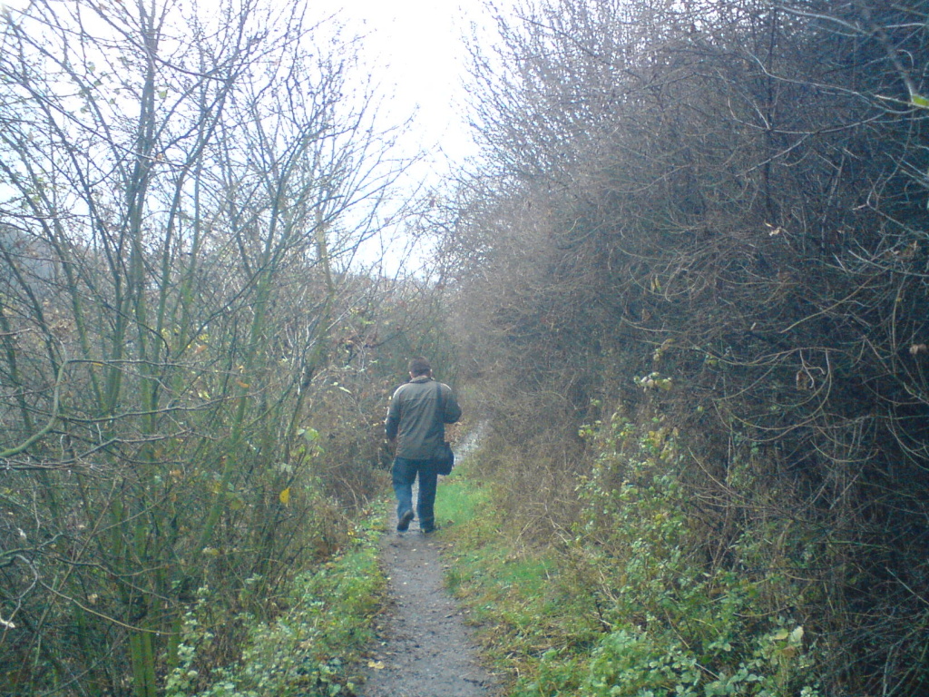 DSC00745